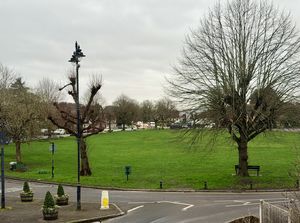 Photo 10- click for photo gallery